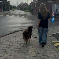 Hondensitter Malderen: Nell