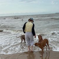 Hondensitter Bocholt: Emma
