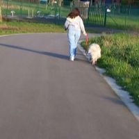 Hondensitter Gent: Nora