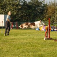 Hondensitter Keerbergen: Femke