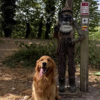 Thuisjob hondensitter Berchem (Antwerpen): hond Milo