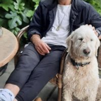Hondensitter Merksem: Jeff