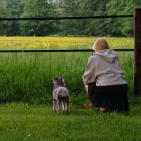 Hondensitter Evergem: Feke