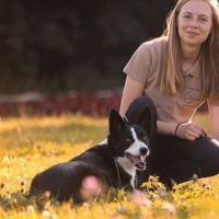 Hondenopvang Tienen: Laura