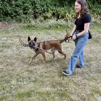 Hondensitter Lede: Zara